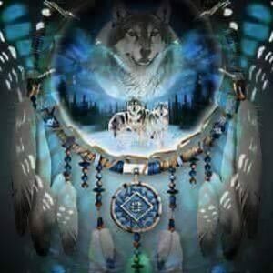 Meet your Posher, Sue